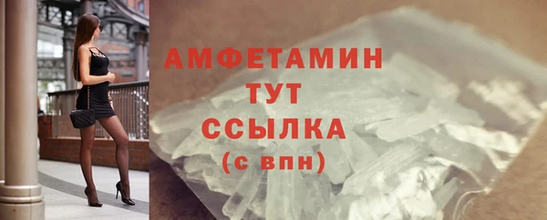 сатива Вязьма