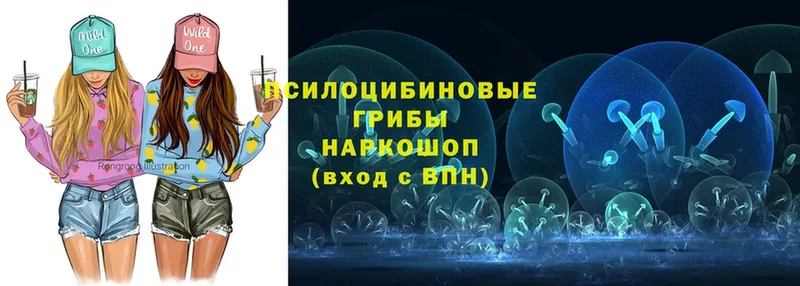 OMG вход  Крымск  Галлюциногенные грибы Psilocybine cubensis 